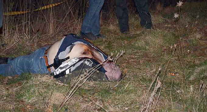 Ровно, Март 25 (Навигатор, Евгений Андреев) – Координатор «Правого сектора» на Западной Украине Александр...