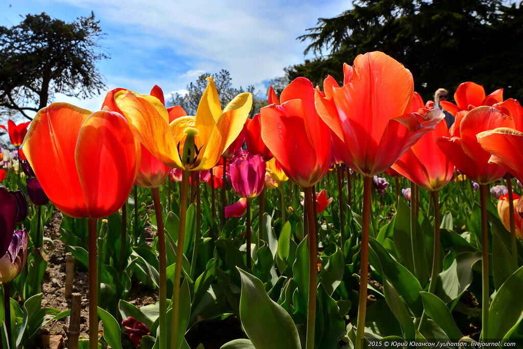 0_11b8e0_431c3ed_XXL