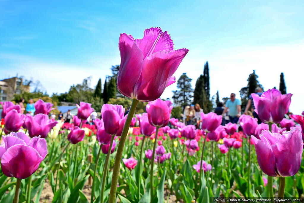 0_11b8e9_63a147d8_XXL