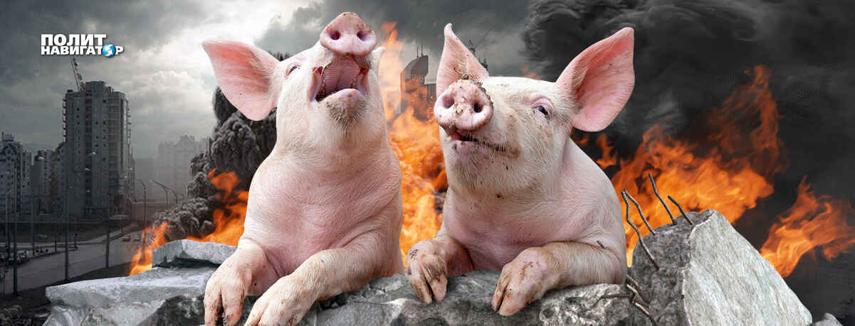 Участившаяся критика со стороны Запада и рост недовольства темпами и результатами наступления говорит о...