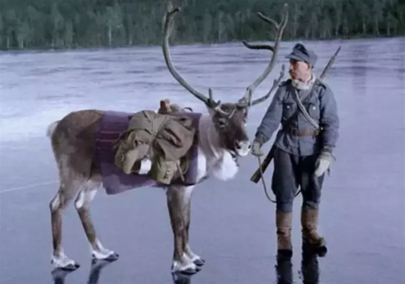 Провокационная деятельность НАТО по расширению на Восток и активизация учений у границ РФ не...